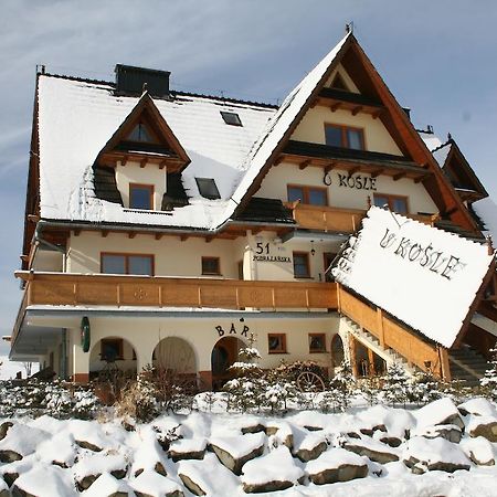 Willa U Kosle Zakopane Ngoại thất bức ảnh