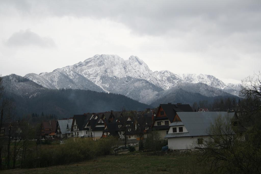 Willa U Kosle Zakopane Ngoại thất bức ảnh
